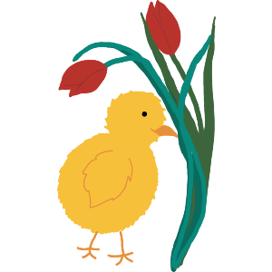 Easter Chick And Tulips