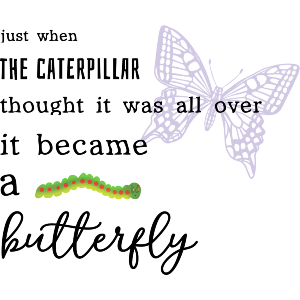 Just when the butterfly 