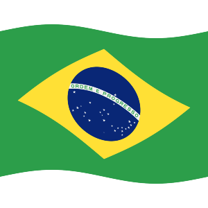 Waving Brazilian Flag