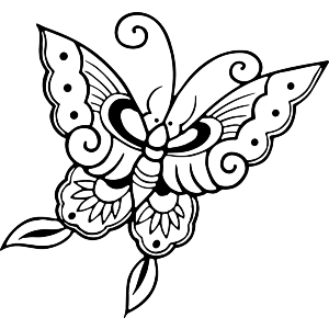 Oriental Butterfly