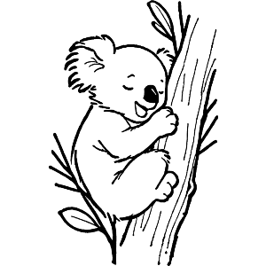 Koala Napping