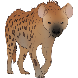 Spotted Hyena Prowling