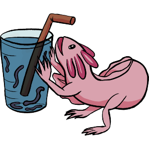 Axolotl Drinking Water Illustration