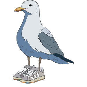 Seagull in Trainers 