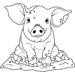 Muddy Pig