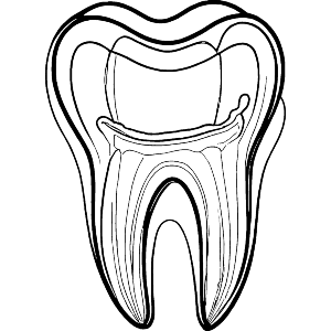 Tooth Extraction