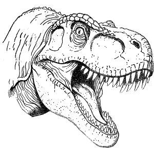 Tyrannosaurus Rex Portrait