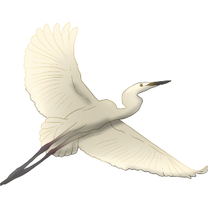 Flying Stork