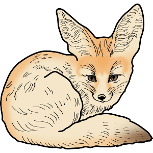 Fennec Fox