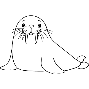 Cute Walrus