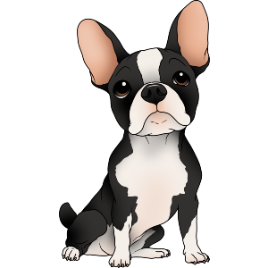 Sitting French Bulldog