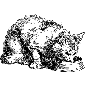 Cat Eating