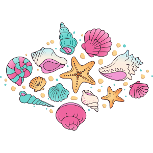 Beautiful Seashells