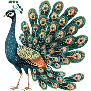 Beautiful Peacock