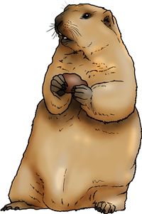 Alert Groundhog