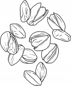 Pistachio Nuts