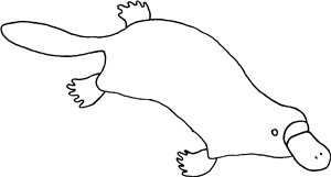 Duckbilled Platypus