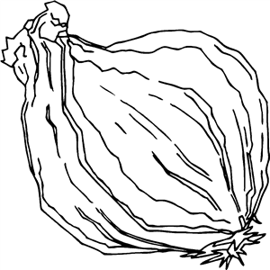 Onion