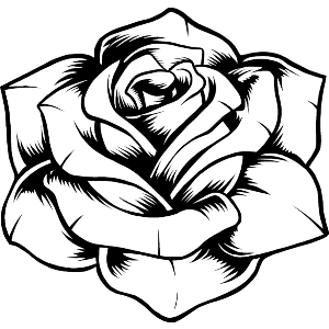 Rose Flower