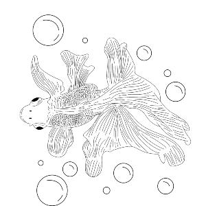 Fish & Bubbles