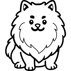 Pomeranian Dog
