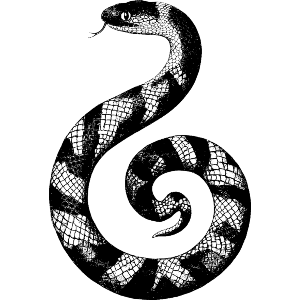 Spiral Snake