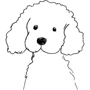 Cute Poodle Sketch