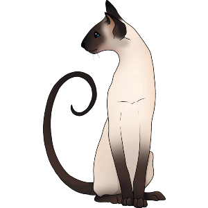 Elegant Sitting Siamese Cat