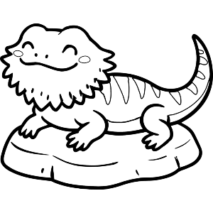 Happy Bearded Dragon