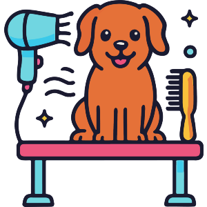 Dog Grooming Station