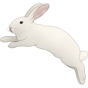 Leaping White Rabbit