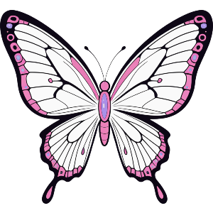 Swallowtail Butterfly