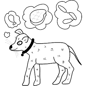 Dog Dreaming Of Food