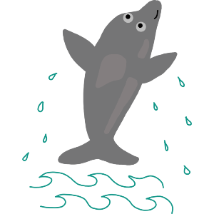 Dolphin Diving Out Of The Sea