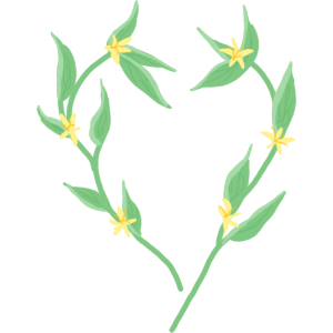 A Heart Of Flowers 