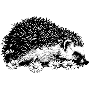 Hedgehog with Flowers