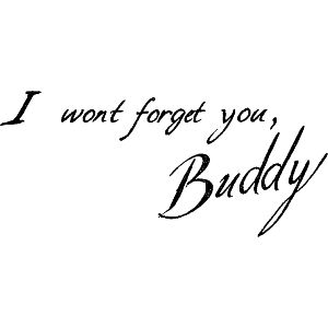 I Wont Forget You Buddy