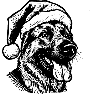 German Shepherd with Santa Hat