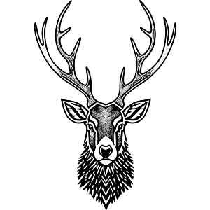Magestic Stag Head