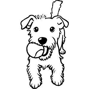 Jack Russell with Tennis Ball
