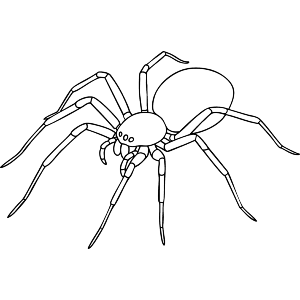 Realistic spider