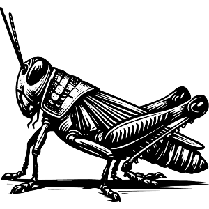 Grasshopper