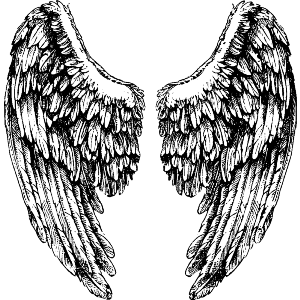 Angel Wings