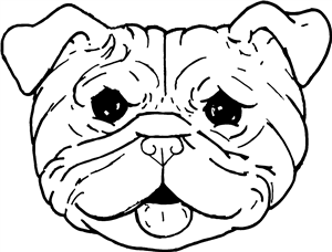 Pug Dog Face