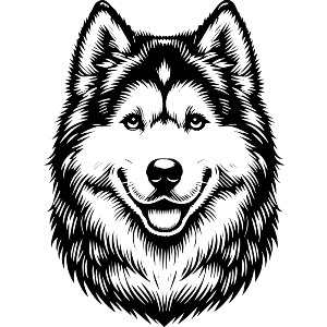 Siberian Husky