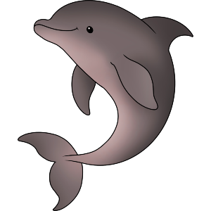 Friendly Dolphin