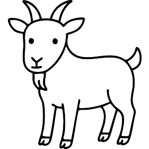 Goat