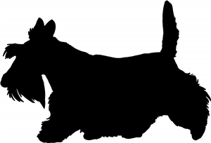 Scottish Terrier Silhouette