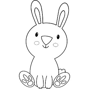 Cute Bunny Rabbit