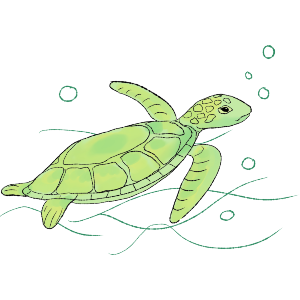 Sea Turtle